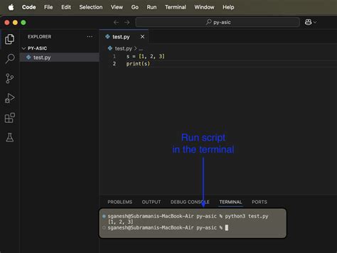 python systemverilog.